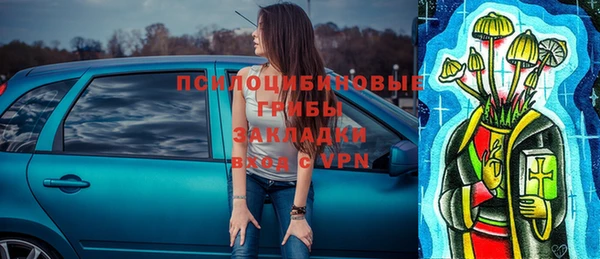 винт Заводоуковск