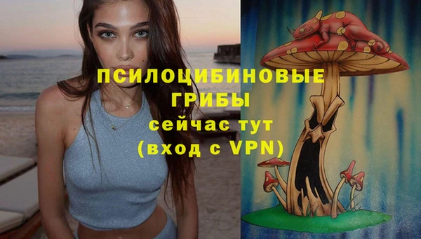винт Заводоуковск
